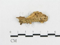 登錄號:F0007549藏品圖，第3張