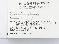 多孔菌屬藏品圖，第2張