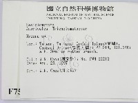 小菇屬藏品圖，第2張