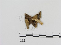 登錄號:F0007553藏品圖，第3張