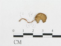 登錄號:F0007554藏品圖，第1張