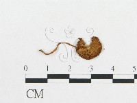 登錄號:F0007554藏品圖，第3張