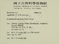 登錄號:F0007556藏品圖，第2張