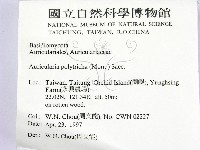 毛木耳藏品圖，第2張