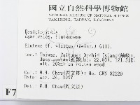 登錄號:F0007561藏品圖，第2張