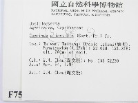 登錄號:F0007562藏品圖，第2張