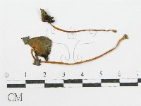 登錄號:F0007562藏品圖，第3張