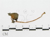 登錄號:F0007562藏品圖，第4張