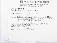 登錄號:F0007563藏品圖，第2張