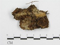 登錄號:F0007563藏品圖，第3張