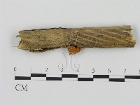 登錄號:F0007564藏品圖，第1張