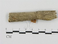 登錄號:F0007564藏品圖，第3張