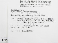 登錄號:F0007565藏品圖，第2張