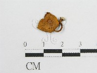 登錄號:F0007565藏品圖，第1張