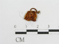 登錄號:F0007565藏品圖，第3張