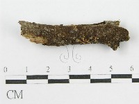 登錄號:F0007567藏品圖，第1張