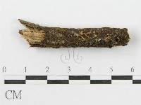 登錄號:F0007567藏品圖，第3張