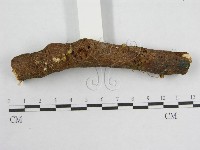 登錄號:F0007568藏品圖，第3張