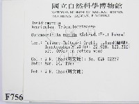 登錄號:F0007569藏品圖，第2張