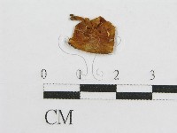 登錄號:F0007569藏品圖，第3張