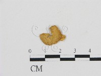 登錄號:F0007571藏品圖，第1張