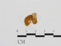 登錄號:F0007571藏品圖，第3張