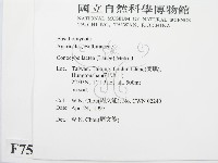 登錄號:F0007572藏品圖，第2張