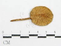 登錄號:F0007572藏品圖，第1張
