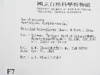 登錄號:F0007573藏品圖，第2張