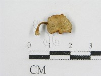 登錄號:F0007573藏品圖，第3張