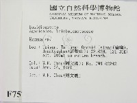 小菇屬藏品圖，第2張