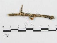 登錄號:F0007575藏品圖，第1張