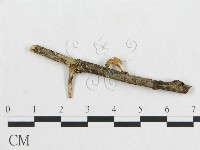 登錄號:F0007575藏品圖，第4張