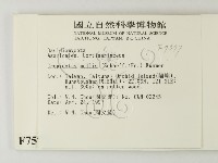 登錄號:F0007577藏品圖，第2張