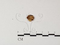 登錄號:F0007577藏品圖，第3張