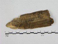 登錄號:F0007579藏品圖，第1張
