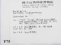 登錄號:F0007580藏品圖，第2張