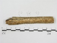 登錄號:F0007580藏品圖，第1張