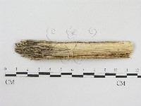 登錄號:F0007580藏品圖，第3張