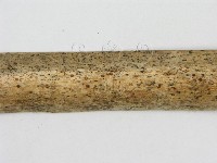 登錄號:F0007580藏品圖，第4張