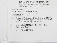 登錄號:F0007581藏品圖，第2張