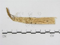 登錄號:F0007581藏品圖，第3張