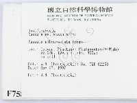 登錄號:F0007582藏品圖，第2張