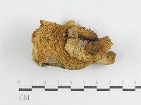 登錄號:F0007583藏品圖，第4張