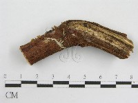 登錄號:F0007585藏品圖，第1張