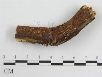 登錄號:F0007585藏品圖，第3張