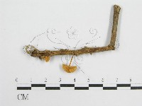 登錄號:F0007586藏品圖，第1張