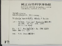 登錄號:F0007588藏品圖，第2張