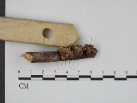 登錄號:F0007588藏品圖，第3張