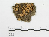 登錄號:F0007589藏品圖，第1張